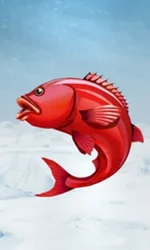 Ice Fishing